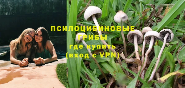 дурь Аркадак